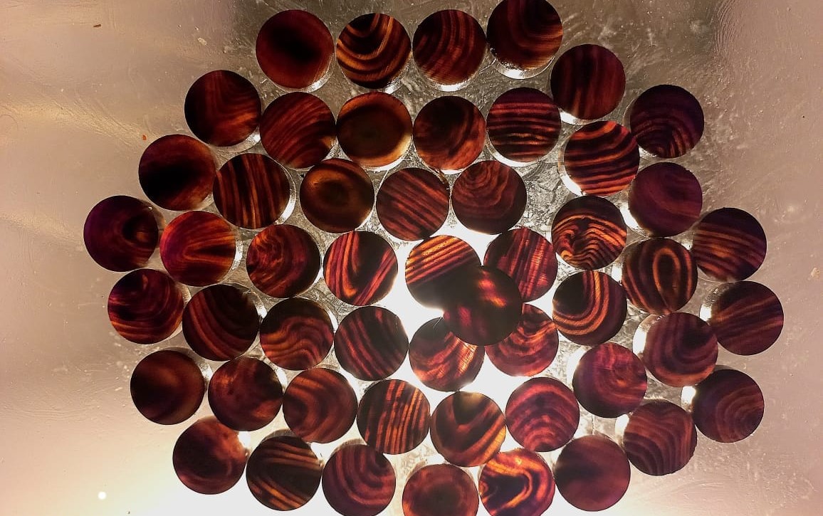 buffalo horn button colour 04