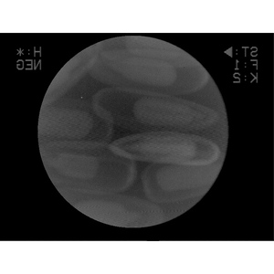 X-Ray Machine for <strong>Process</strong> <strong>Test</strong> X-Ray Detector for Seed Inspection - Product Image 2