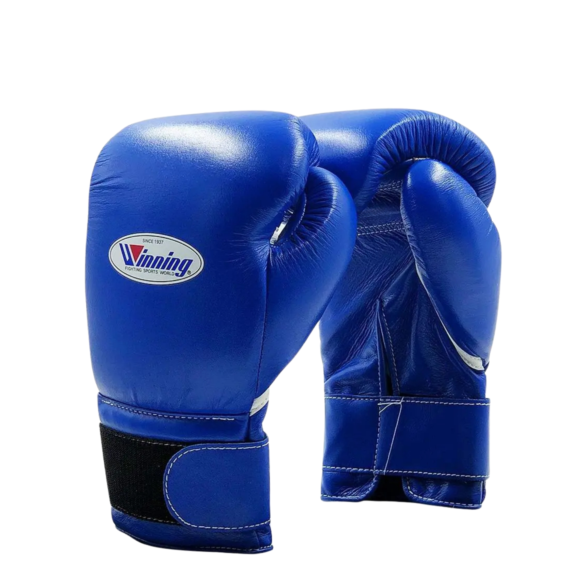 Velcro bleu