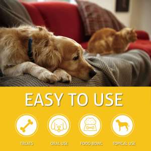 Sản phẩm cây gai dầu tinh dầu xử lý cho chó mèo làm dịu hành vi đào tạo hỗ trợ lo lắng đau căng thẳng giấc ngủ viêm khớp co giật - Product Image 4