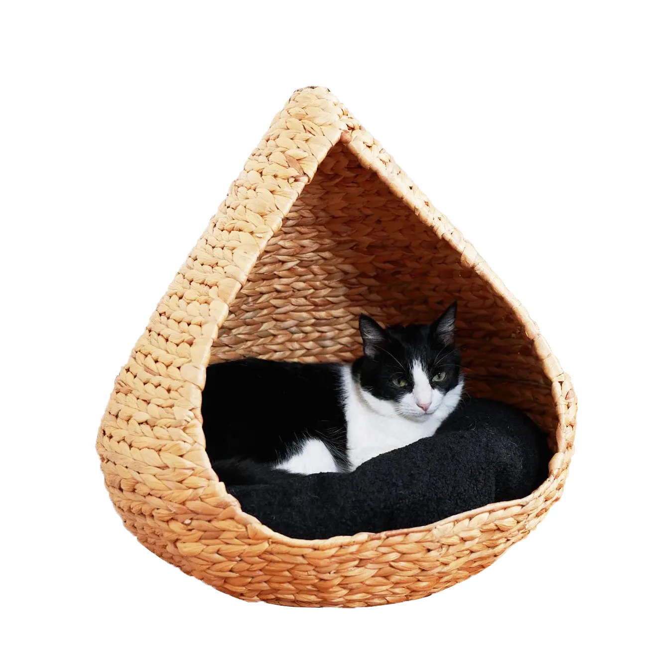 בית חתול בצורת דמעה פתוח עיצוב חמוד ספה חמה סופר רכה משחק בית לחיות מחמד מיטת חתול לחיות מחמד שינה מקורה בית ירוק VN