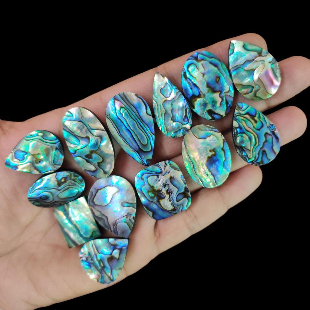 New Zealand Paua Abalone Shell Price Per Gram