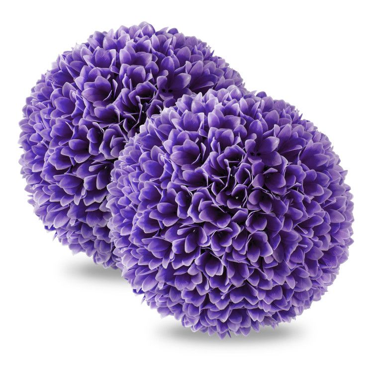 Purple Color