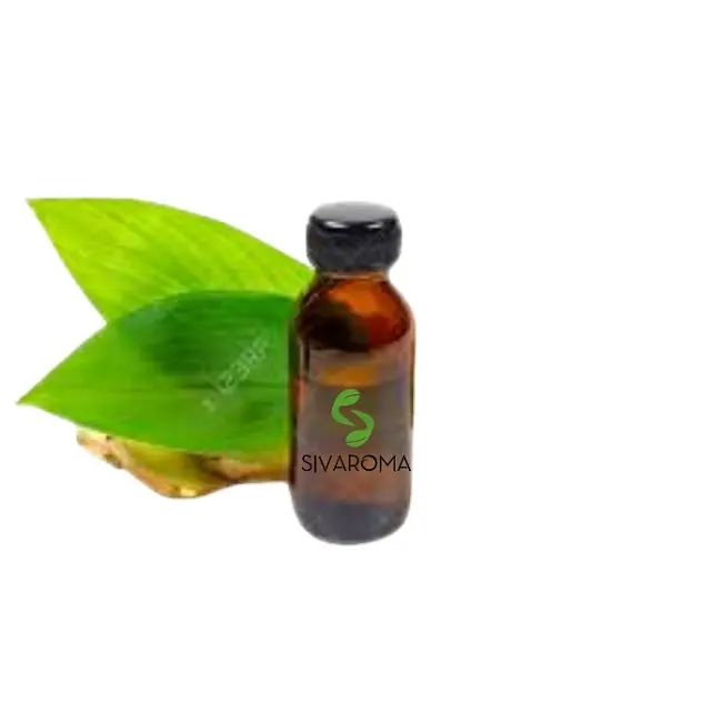 Huge Demanded High Quality Extracted Oils Hair Oil Manufacturer Rhizome Extract Ginger Extract Oil for Bulk Buyers