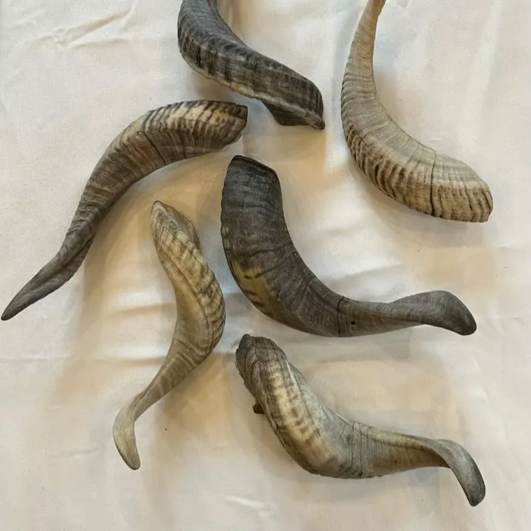 As Per Image