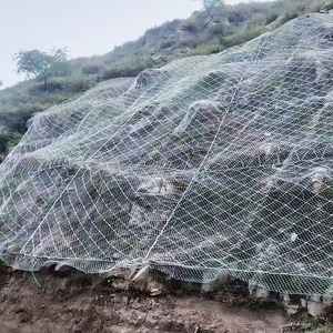 Custom Cut Weaved Technique Slope Gabion Rockfall Barrier Plain Weave Style Wire Mesh For Slope Protection Chain Link Mesh - Product Image 1
