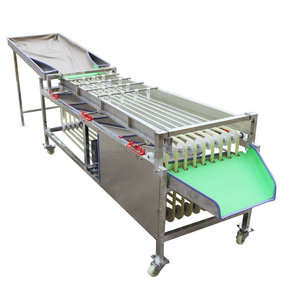 Walnut Fruit Palm Date Cup Orange Mangosteen Pepper Carrot Potato Track Ball Size Sort <strong>Sorting</strong> Machine for Waxing - Product Image 5