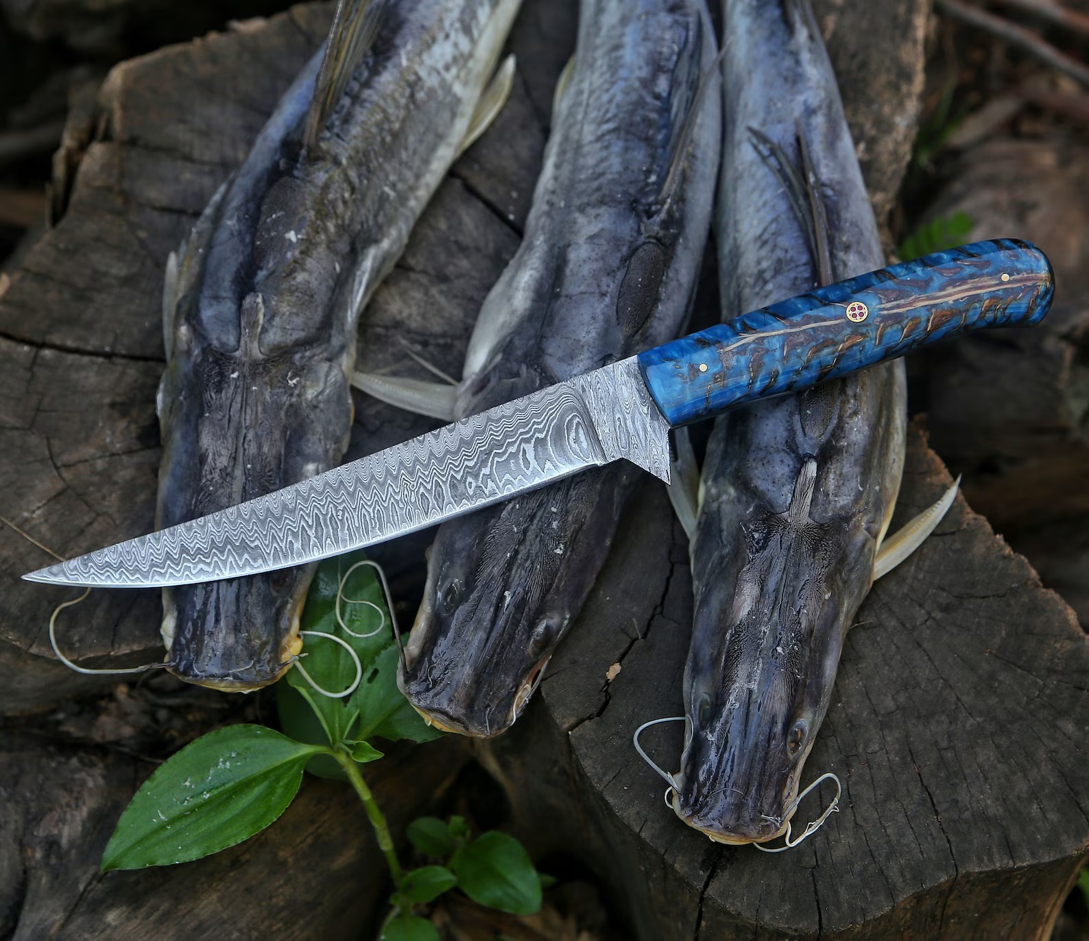 Bleu