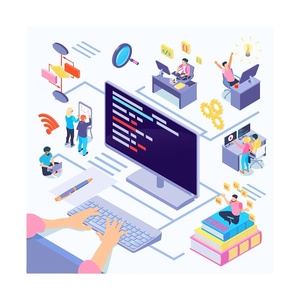 Hochwertige Beratungsdienstleistungssoftware mit kundenspezifischen Funktionen und Design in Großbeträgen zum Verkauf verfügbar
