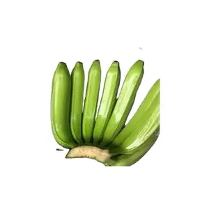 100% ORGANIC Fresh Cavendish Banana With High Quality Wholesale Fresh Cavendish Banana