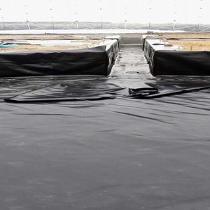 0.75mm 1mm 1.5mm 2mm-Customizable <strong>HDPE</strong> Geomembrane Pond Liner Dam Liner Geomembrane Geomembrana <strong>Hdpe</strong> Pond Liner 45 Mil - Product Image 4