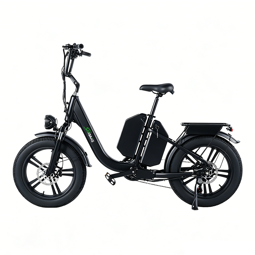 Vélo cargo électrique noir 48V 50AH