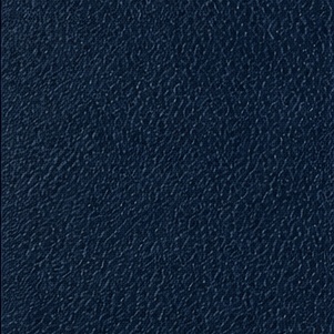 Deep Blue