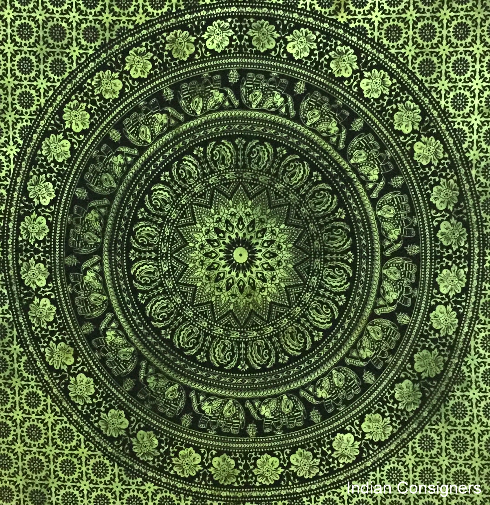 Vert