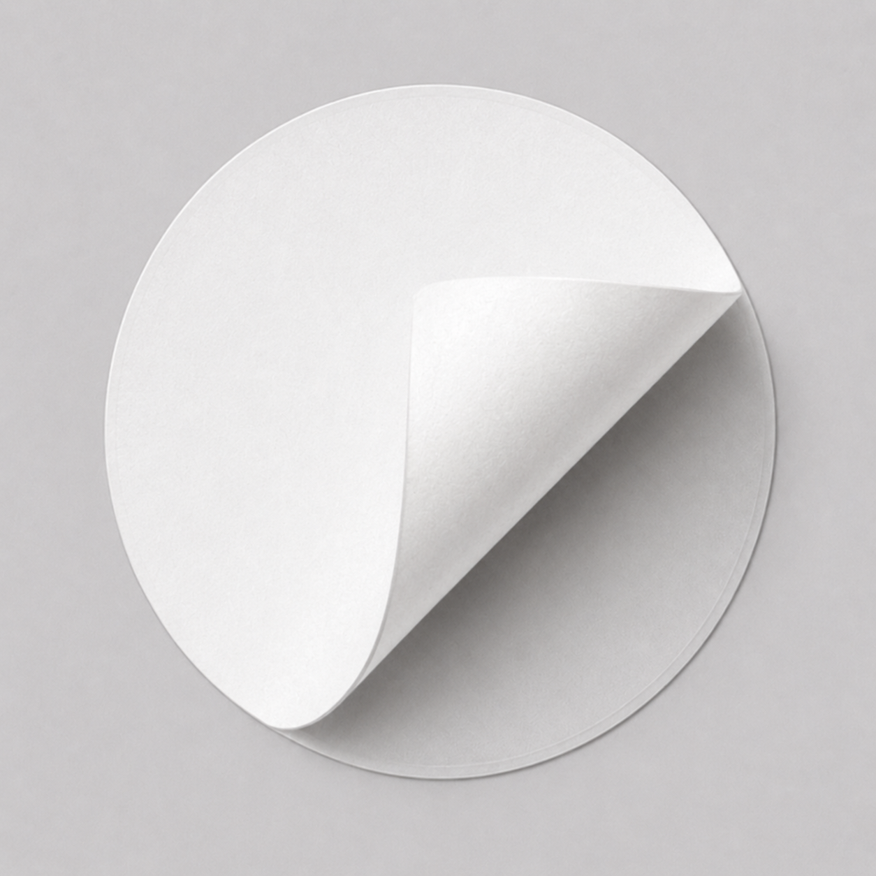 SBS C2S Coated Paper