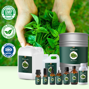 マッサージ、スキンケア、アロマセラピーのためにOcimum basilicumから抽出した蒸気蒸留バジルエッセンシャルオイル - Product Image 3