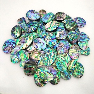 Doğal Paua Abalone kabuk - Product Image 3