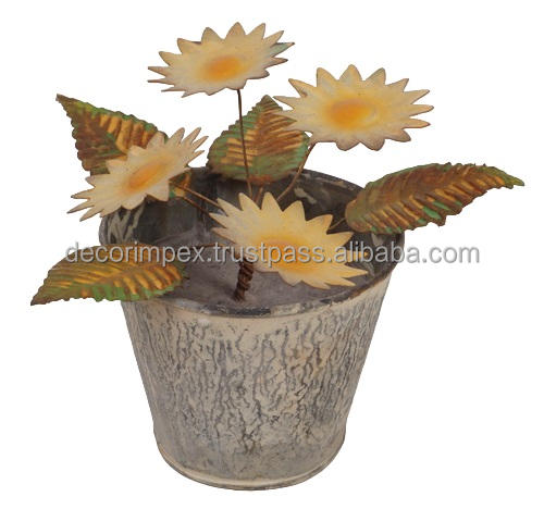 Natural Multi Colour