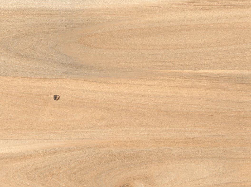 ASH WOOD CREMA (30*60)