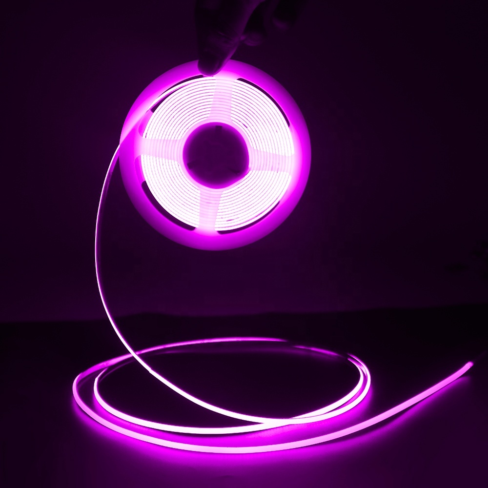 Pourpre