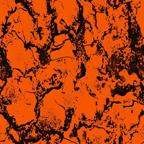 Camouflage orange flamboyant