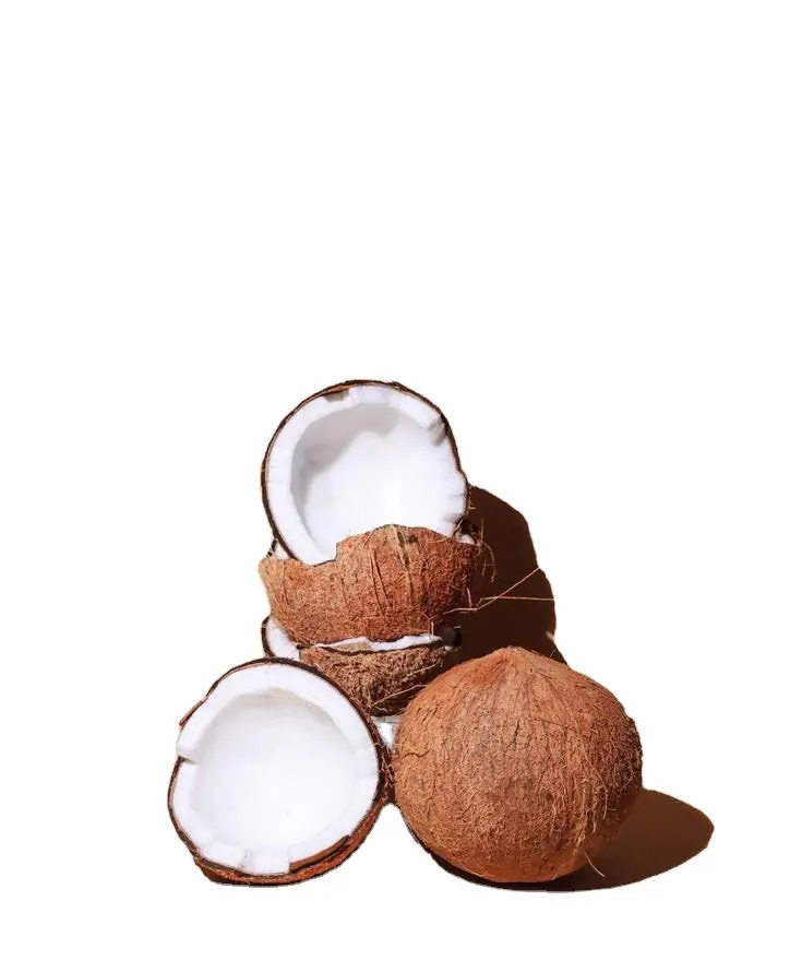 Kokosnoot Geschikt Voor Het Koken Van Voedsel En Schoonheidsverzorgingsproduct