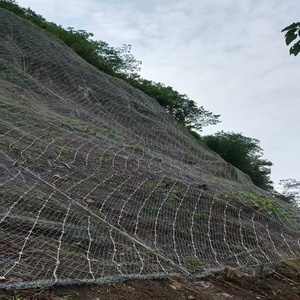 Custom Cut Weaved Technique Slope Gabion Rockfall Barrier Plain Weave Style Wire Mesh For Slope Protection Chain Link Mesh - Product Image 3