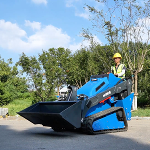 Miễn phí vận chuyển nhà sử dụng Skid chỉ đạo nhỏ loader Crawler theo dõi DIESEL Auger Mini Skid chỉ đạo Bộ nạp với lâm nghiệp mulcher - Product Image 4