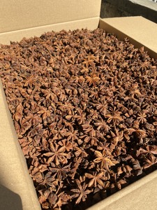 购买新鲜的八角茴香-用异国风味增强您的菜肴