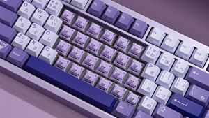 WS POM + anahtarı özelleştirilmiş klavye mekanik oyun anahtarı - Product Image 4