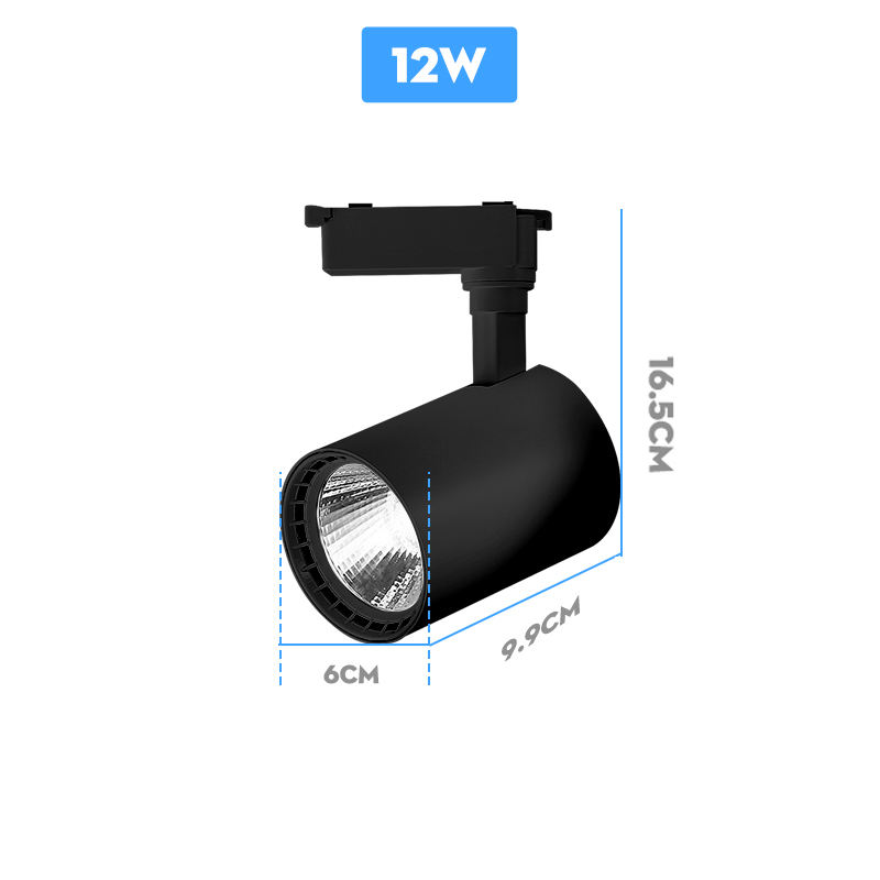 Corpo nero da 12 W