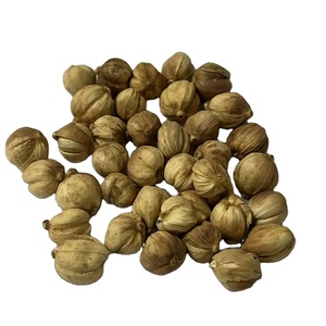 Premium doğal beyaz kakule (<span class=keywords><strong>Kapulaga</strong></span>) tarım ürünü