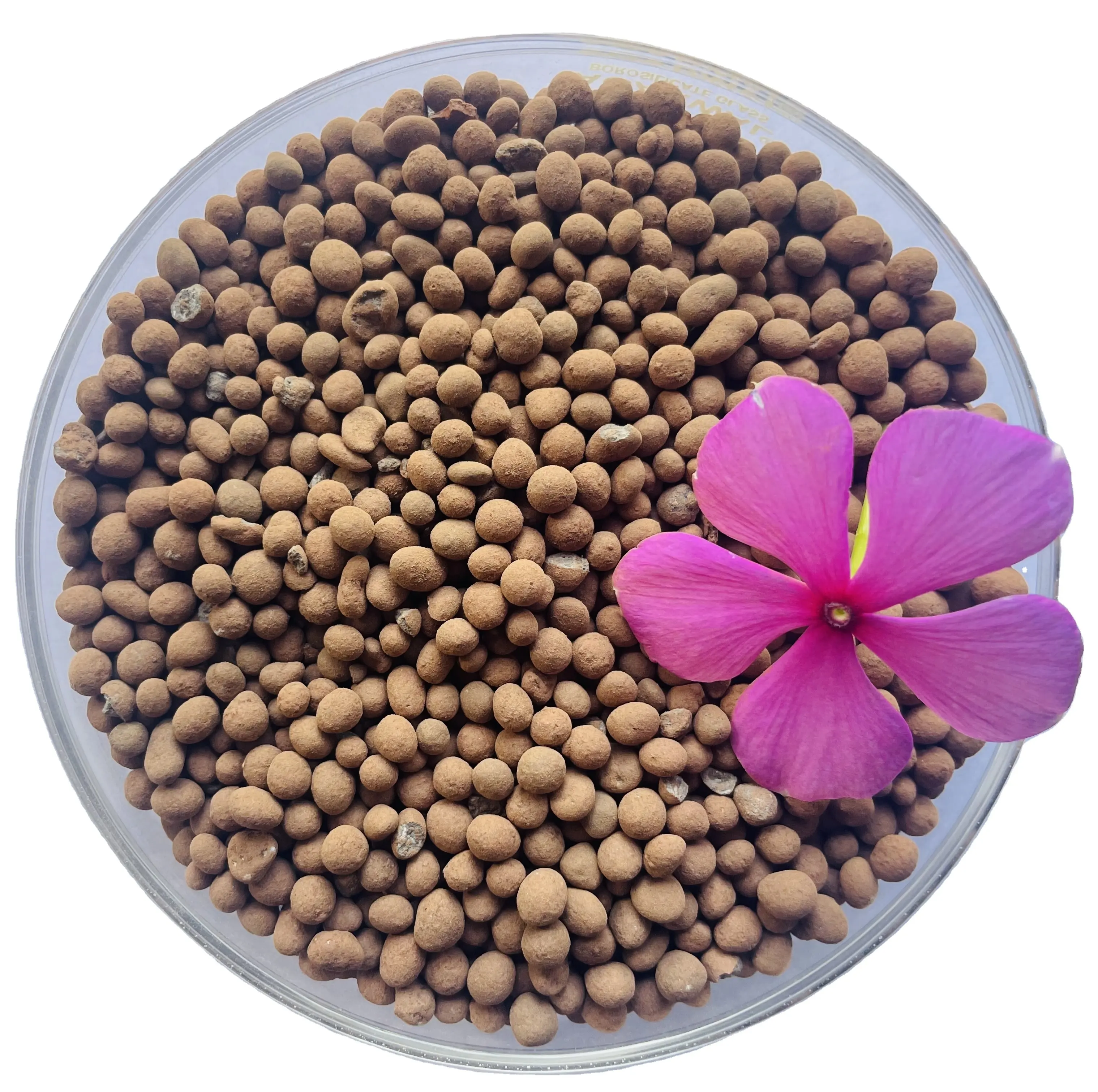 फूलों के लिए निर्यात के लिए तैयार पौधा उर्वरक ह्यूमिक अमीनो ग्रैन्यूल भारतीय आपूर्तिकर्ता से प्रतिस्पर्धी मूल्य निर्धारण फूल उर्वरक