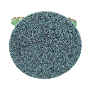 Medium 2 Inch R-Type Quick Change <strong>Disc</strong> Customizable OEM Non-Woven Nylon Surface Conditioning <strong>Disc</strong> - Product Image 1