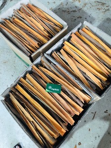 最优惠的价格拆分日元白肉桂/决明子棒香料和草药联系 + 84 368591192