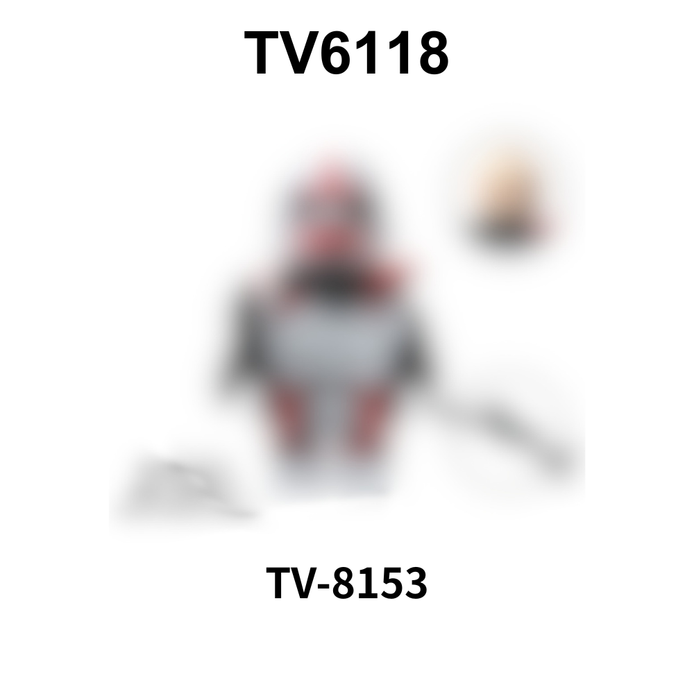 TV8153