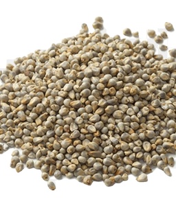 印度提供最优质的印度绿色小米，用于动物饲料 - Product Image 1