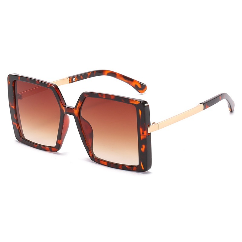 C3: Tortoise/ Brown Gradient