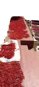 Top Quality Mace Spice <strong>Red</strong> Mace Spice | All Natural Non-GMO Ceylon Nutmeg Mace Spice | 100% Organic Pure Quality for Bulk Price - Product Image 3