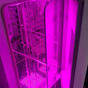 Incubatore di illuminazione BIOBASE 200L grande capacità PID Controller 30-segmento programma Top incubatore di illuminazione per laboratorio - Product Image 2