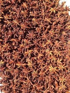 FACTORY PRICE VIETNAM STAR ANISE <strong>PREMIUM</strong> QUALITY for EXPORT on TIME DELIVERY (<strong>MS</strong> LYNN 0084971054925)
