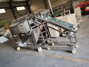 Máquina para romper vainas de Cacao/equipo de procesamiento de corte de galleta de vaina de cacao fresco/máquina separadora de cáscara de cacao y frijol - Product Image 3