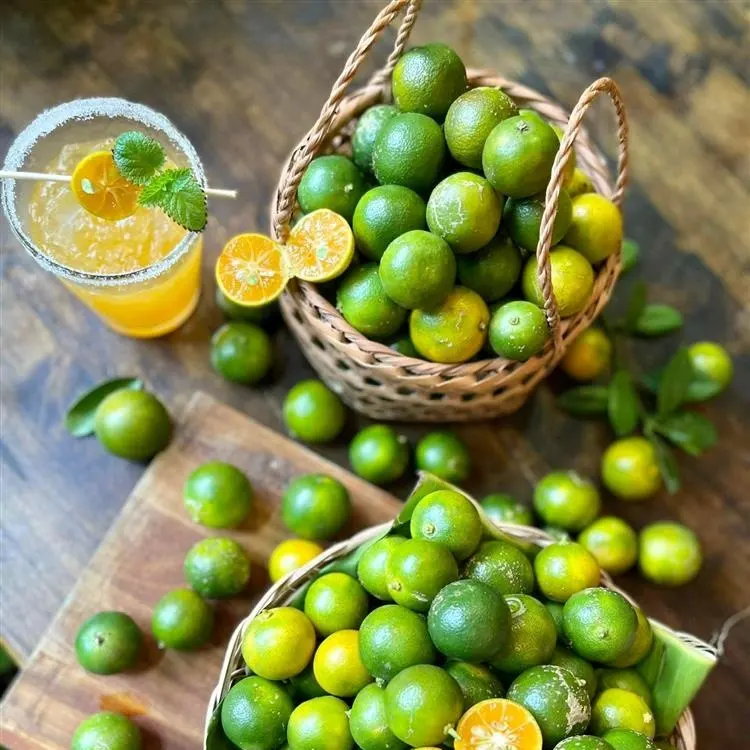 Kumquat fresco vietnamita, embalaje a granel OEM/cítricos verdes Calamansi para té de desintoxicación