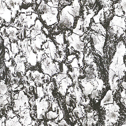 ลายพรางหิมะ