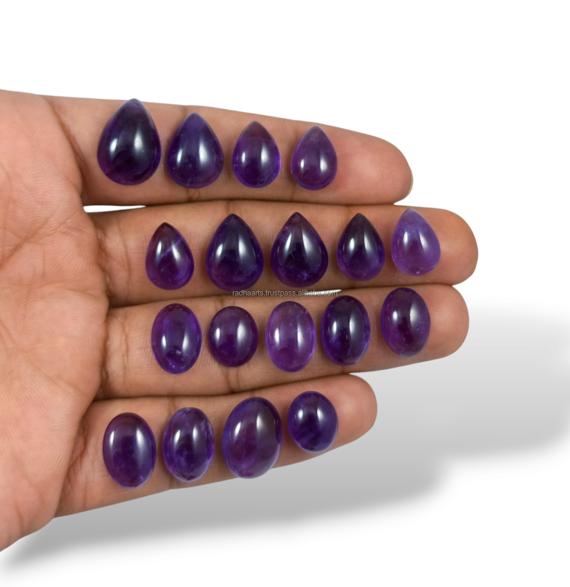 Pourpre