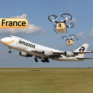 中国Zheijang福州広東航空 + エクスプレス貨物輸送サービスフランスへの出荷