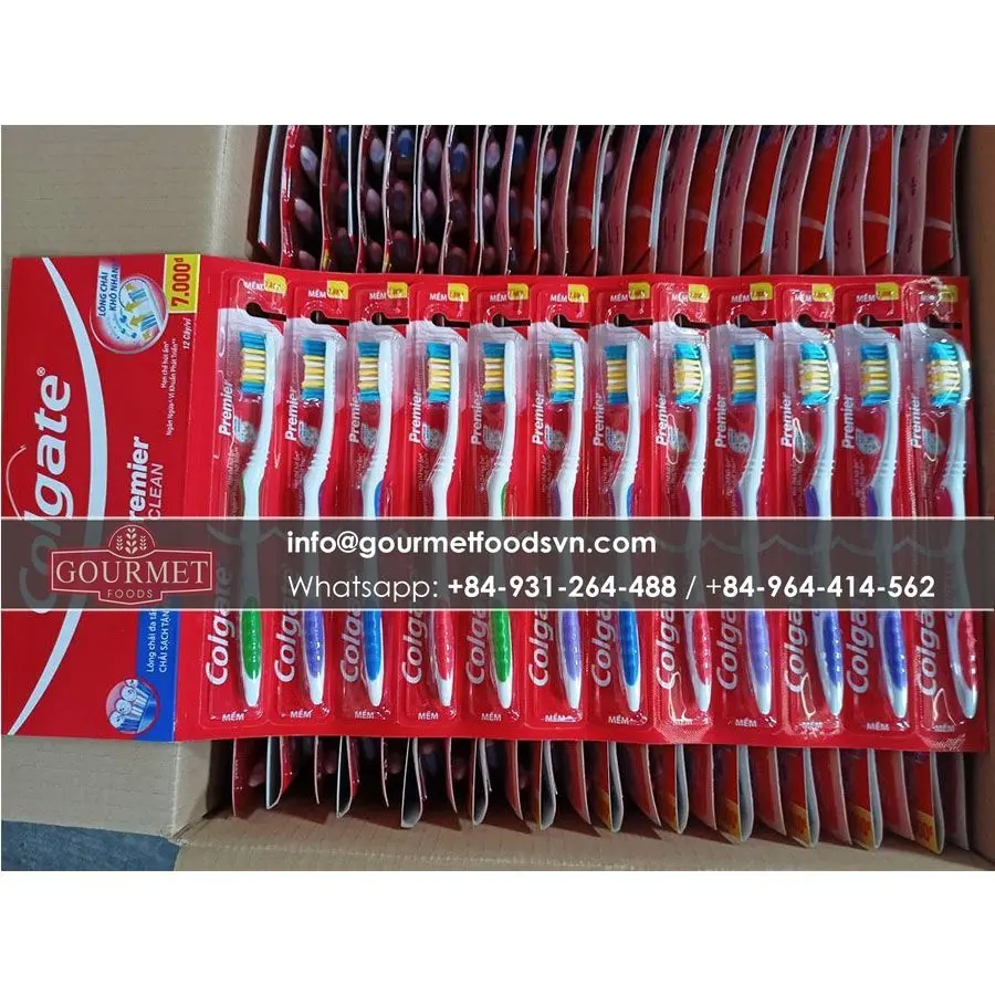 Colgatte escova de dentes pestreerr pacote limpo 12/vietnã escova de dentes atacado exportivo melhor preço