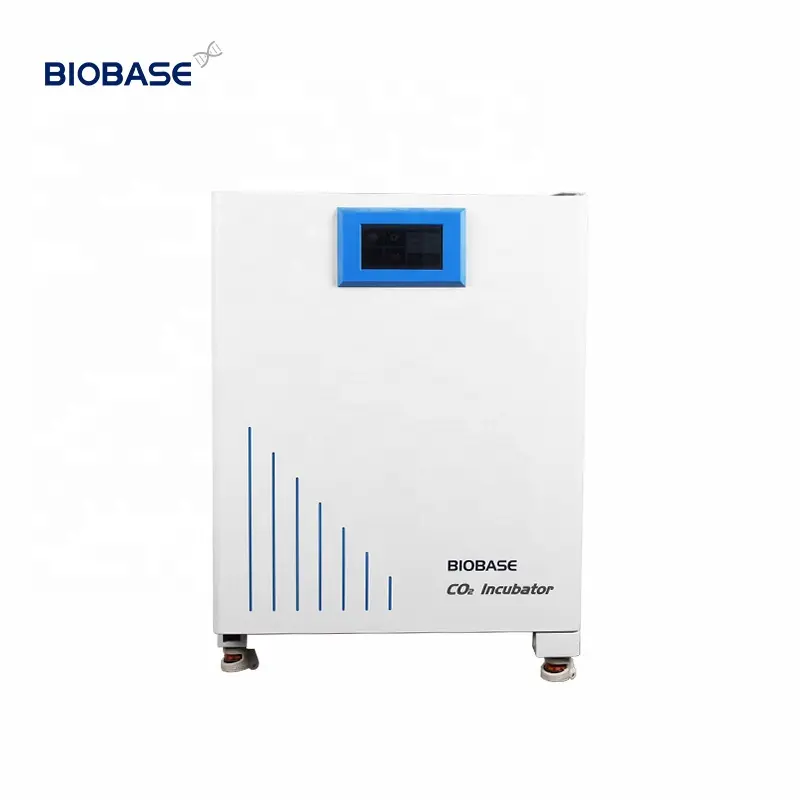 Incubatore di laboratorio digitale biobase Co2 incubatore di laboratorio elettrico a temperatura costante per laboratorio