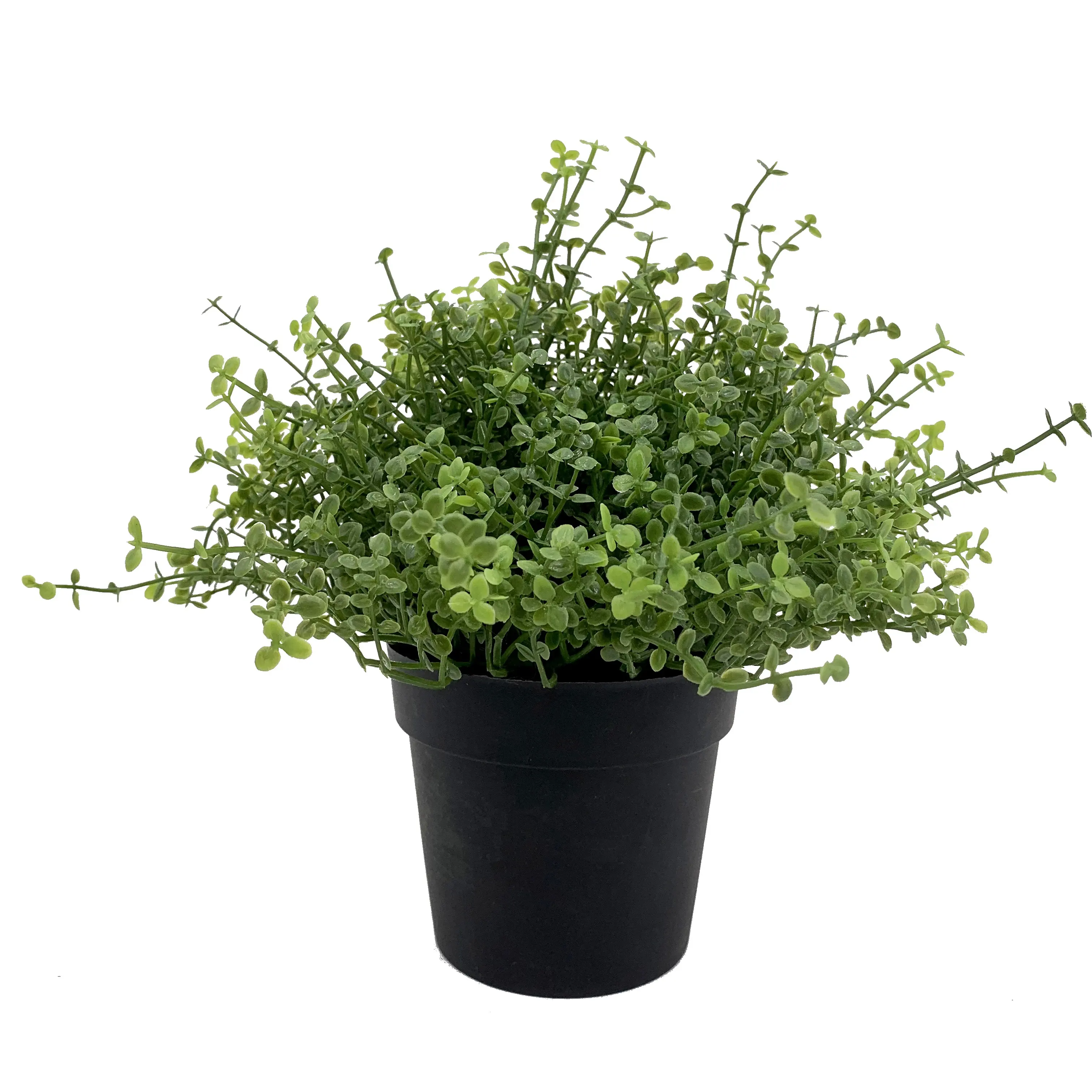 Free Sample Green grass artificial in plastic pot machine handmade aquatic plants for garden backyard Gifts Stores