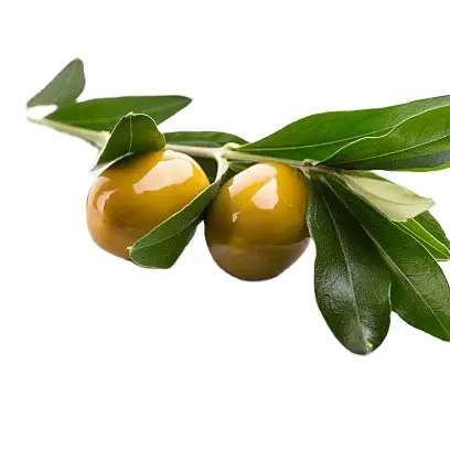 Olio Extra vergine di oliva naturale puro sfuso per il commercio all'ingrosso